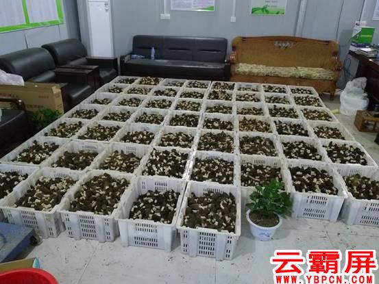 微信图片_20180830174309