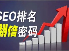网络营销推广软件教你学会单页面SEO优化技巧，轻松赢流量！