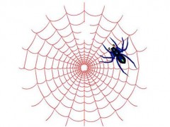 产品网络推广带你了解蜘蛛是依靠什么判断文章质量的？助力提升网站收录率！